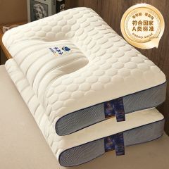 枕头太空舱枕芯抗菌按摩枕头一对家用酒店宿舍学生护颈椎